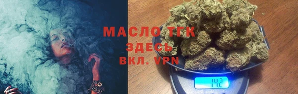 сатива Алзамай