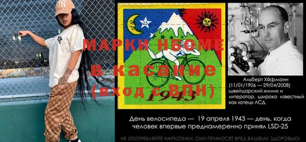 сатива Алзамай