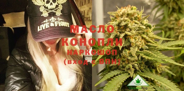 сатива Алзамай