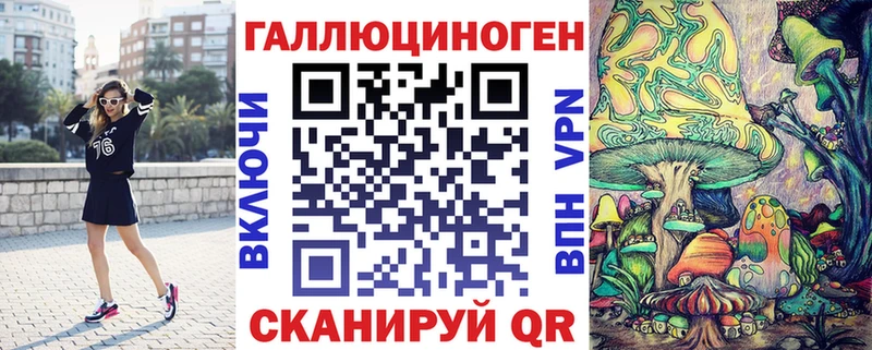 где купить наркоту  Перевоз  Галлюциногенные грибы Psilocybe 